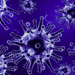 coronavirus, proteine, cellule, plasma