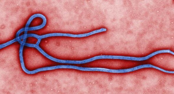 ebola 3