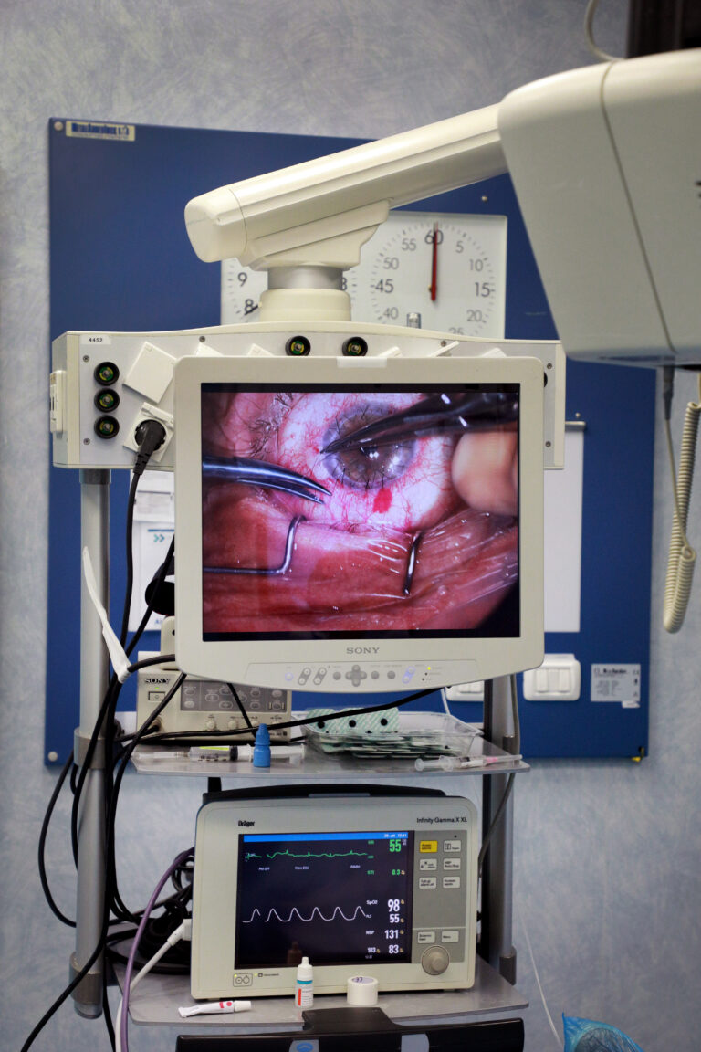 intervento, cornea, ibrida, bologna
